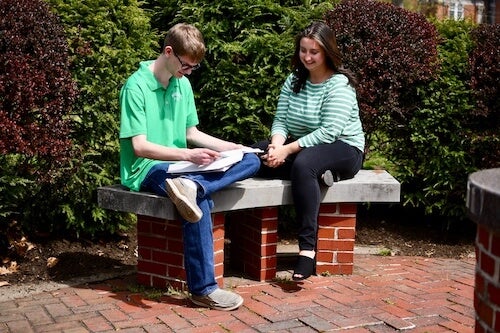 Students studying on campus