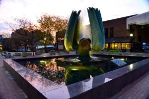 Advisors Advising Fountain