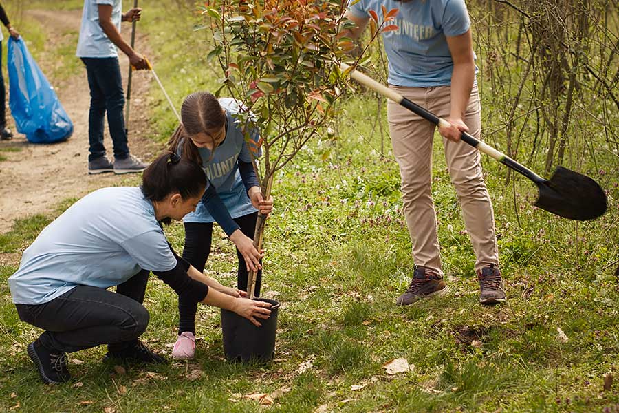 Environmental Conservation & Management