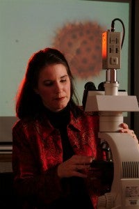 Pollen Project