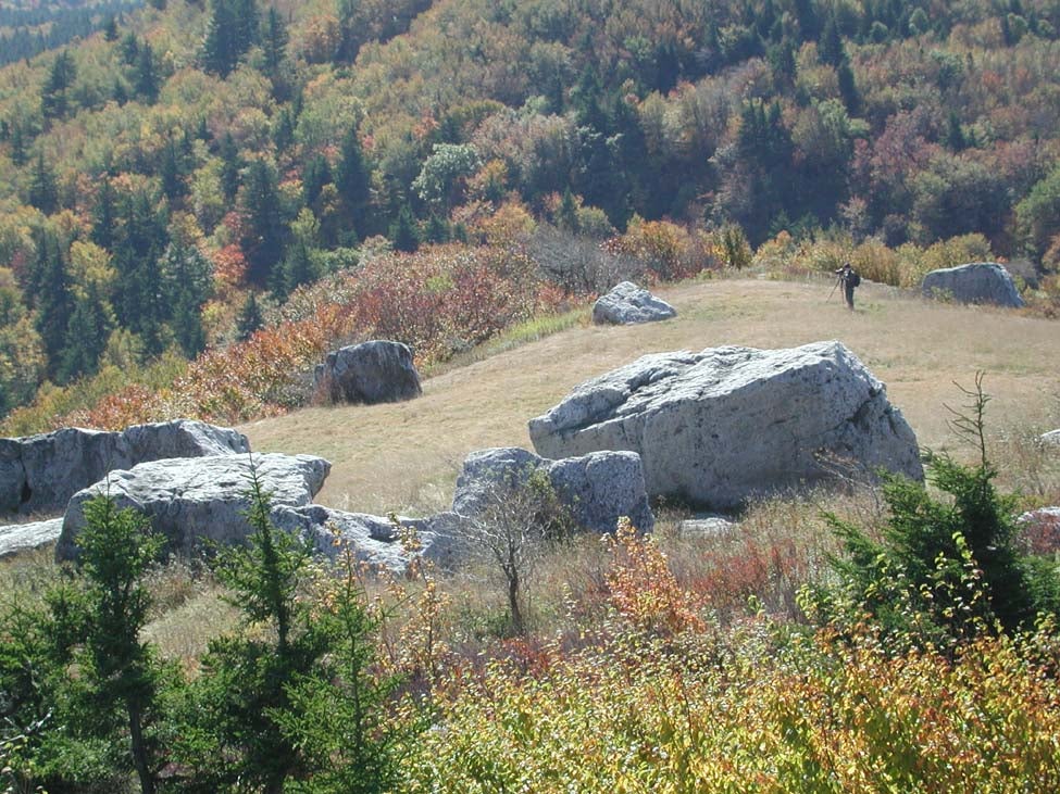 Spruce Knob is capped by resistant Pennsylvanian age sandstone