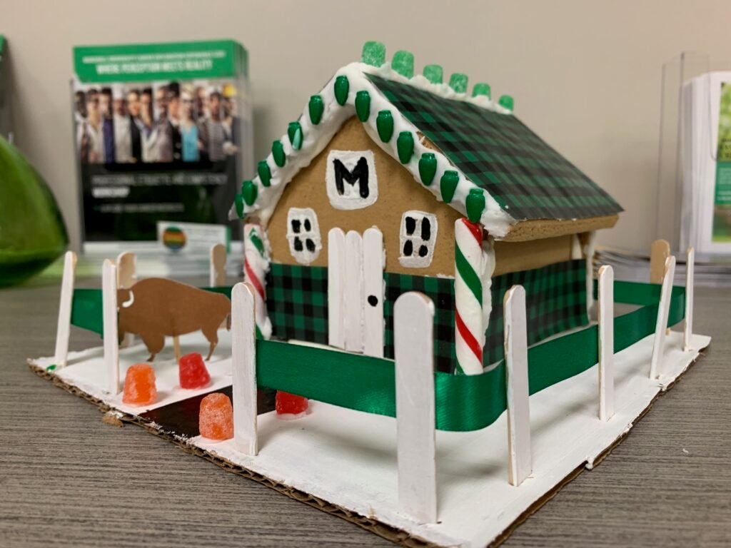 Marshall themed gingerbread house