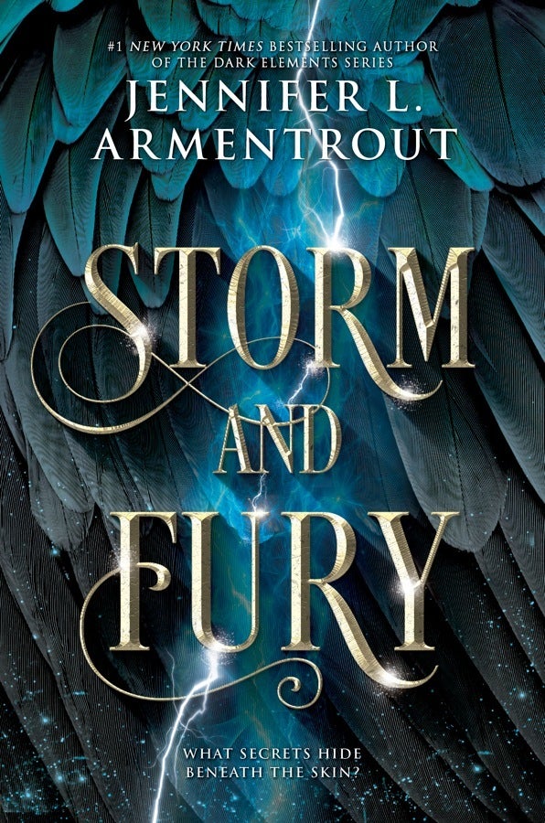 storm and fury cover