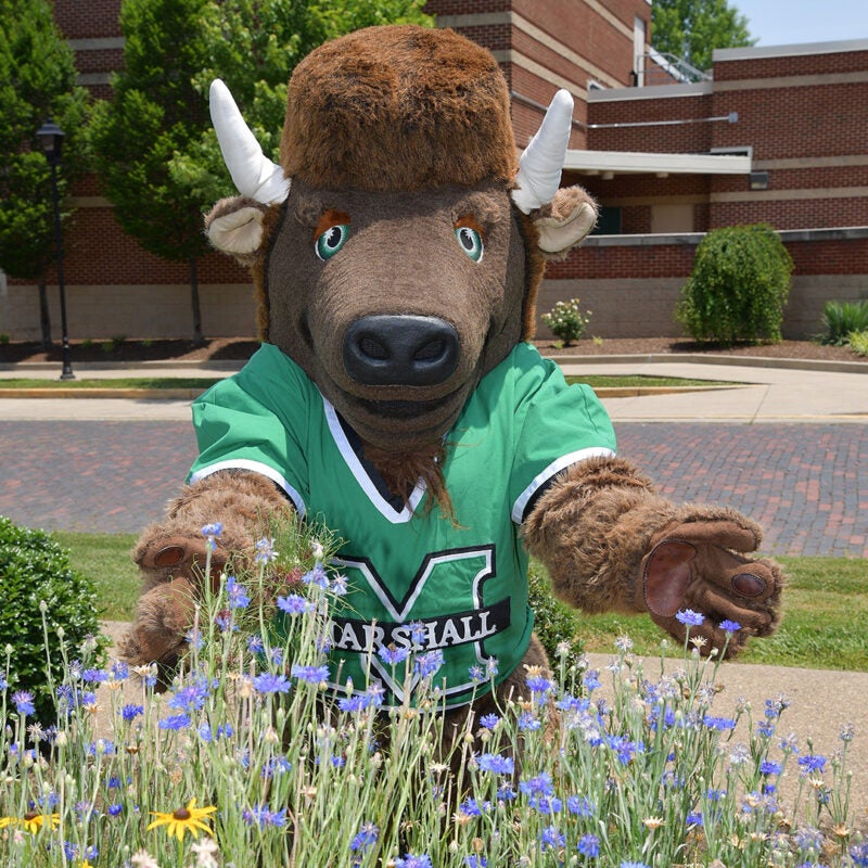 Marco shows plants in the VIP Garden at Marshall University