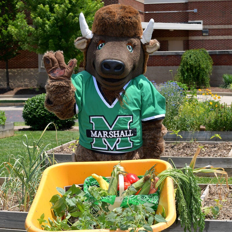 Marco with produce from the Marshall University student garden