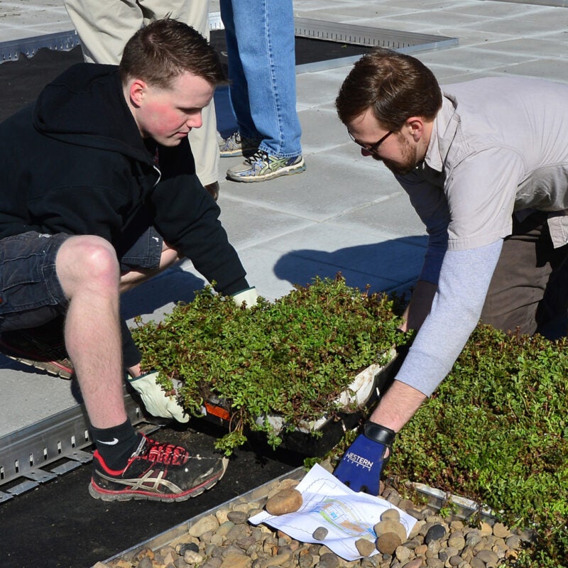 Students and staff install a green roof at Marshall University