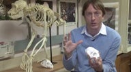 Marshall University_ Biology in 3 - D - YouTube thumbnail