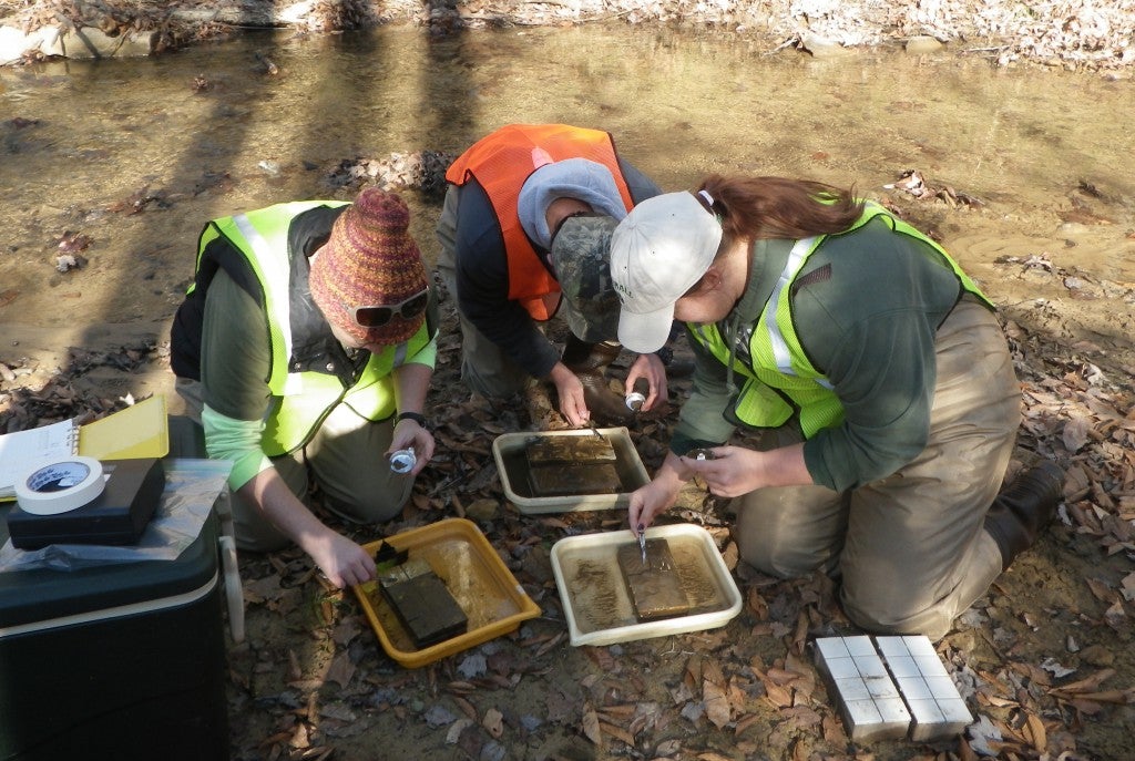 Photo of Marshall University students doing water research field work