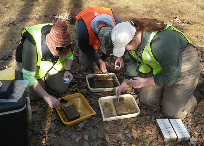 Armstead students doing field work for website