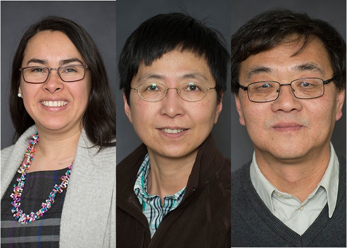Photo of three new MIIR researchers