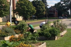 Volunteer day - thurs - sept 18 2014 -3