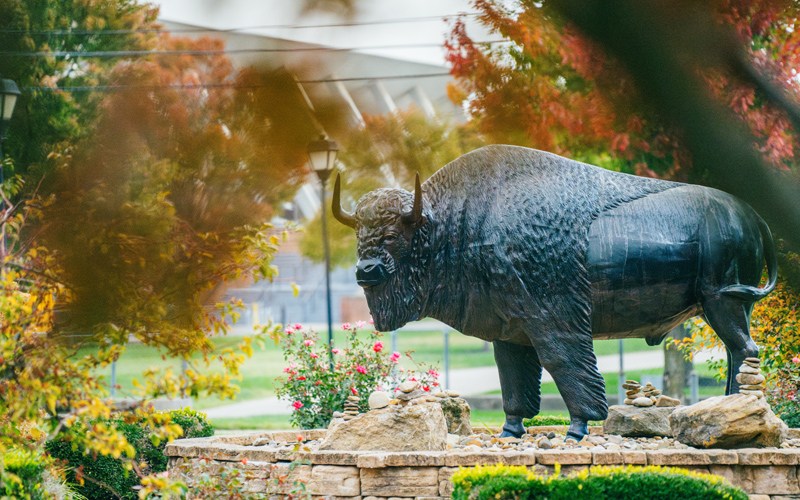A bison statue on Marshall University's Huntington campus
