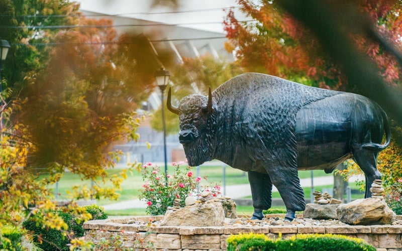 A bison statue located on Marshall University's Huntington campus