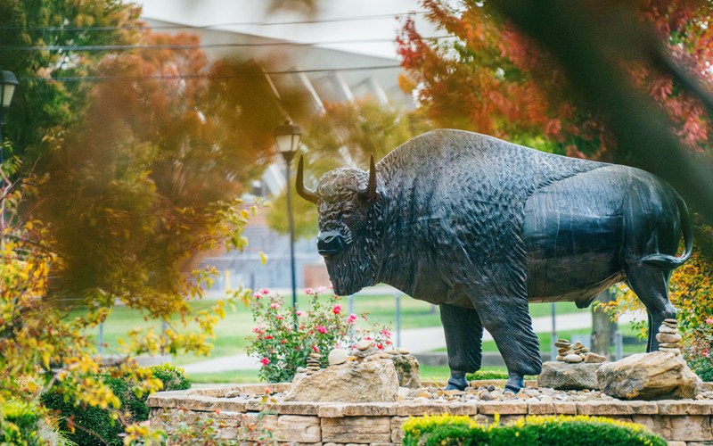 A bison statue located on Marshall University's Huntington campus