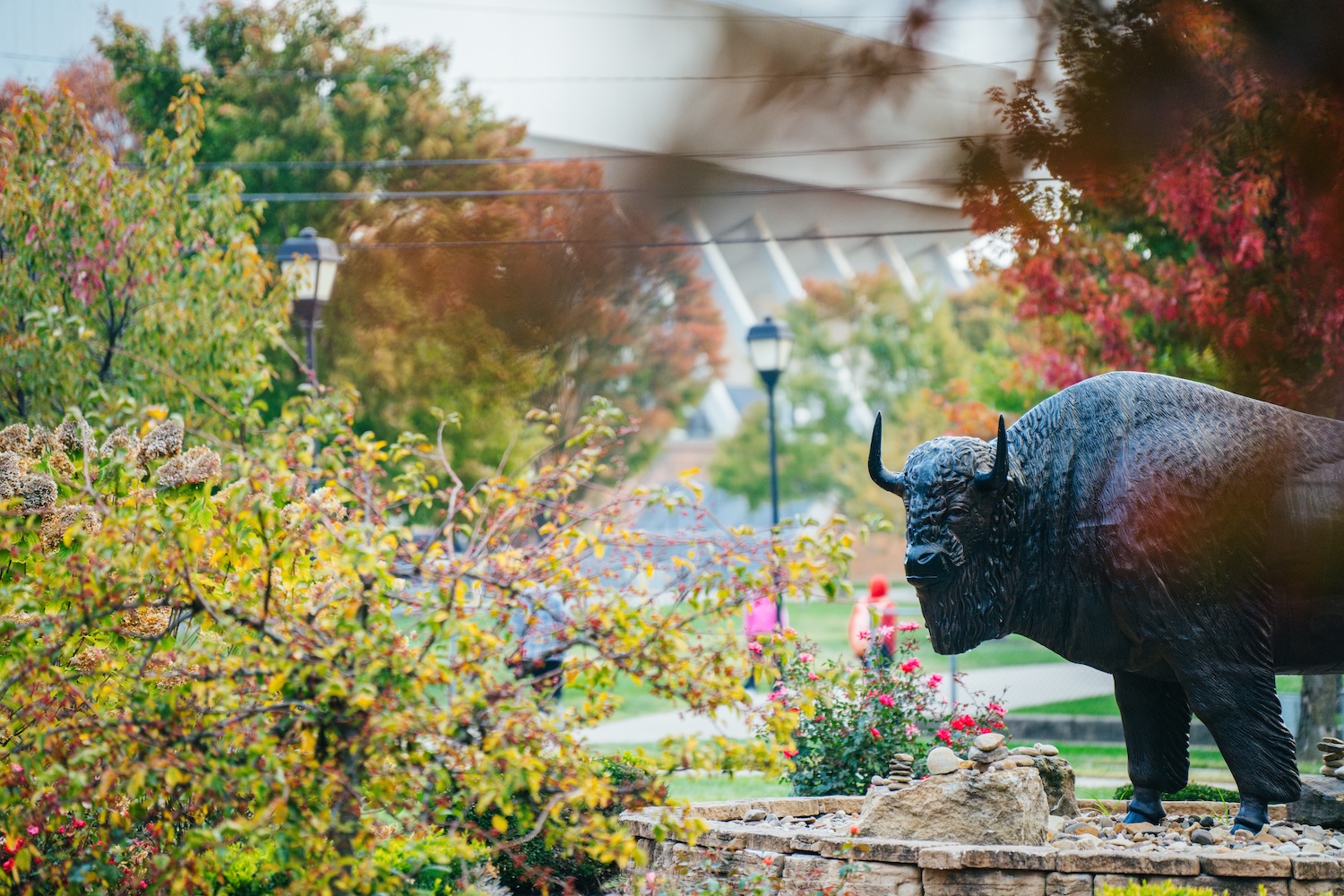 bison statue on campus in the spring