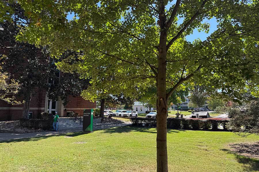 Dr. Harold Blanco Memorial Tree