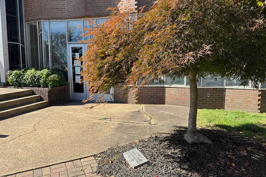 Steven T. Fugate Memorial Tree