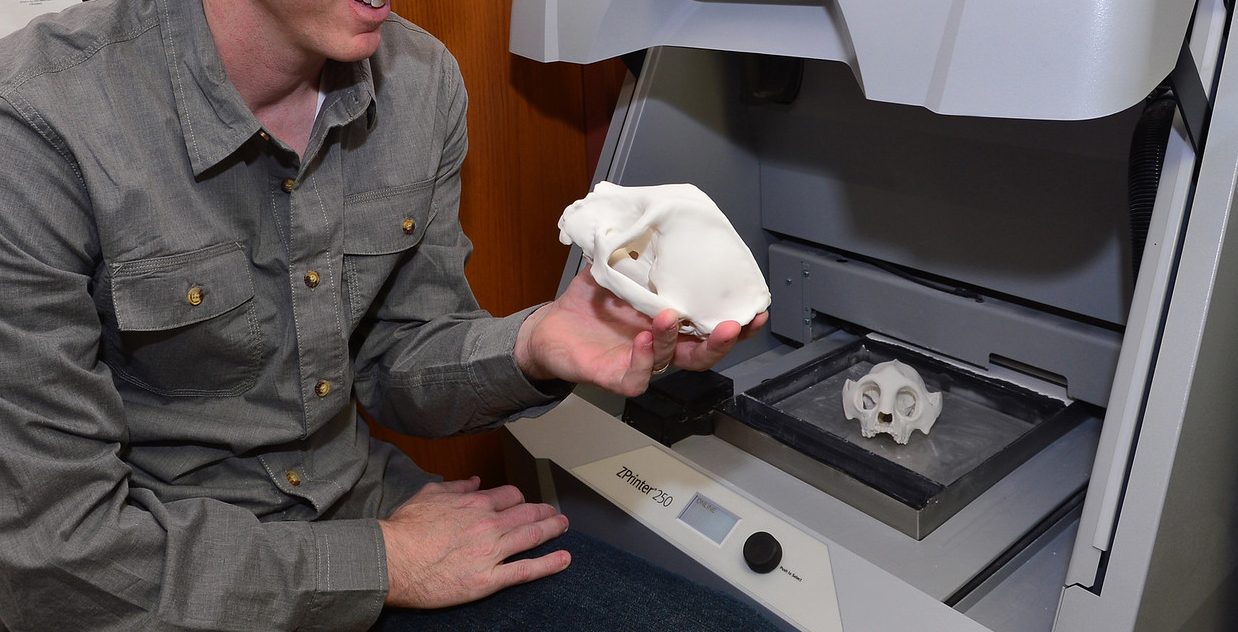 Faculty Research Interests