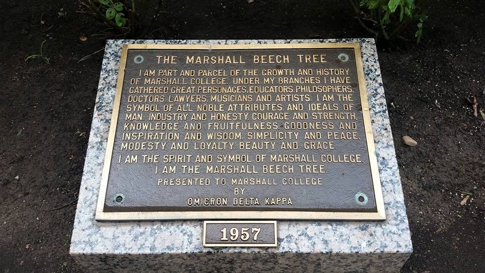 Memorial Beech Tree plaque
