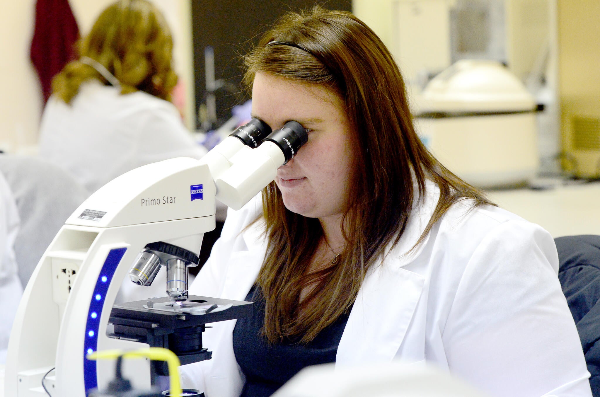 Online Bachelor of Science in Medical Laboratory Science