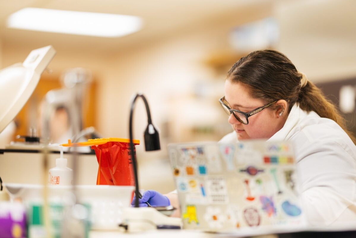 student working in a lab