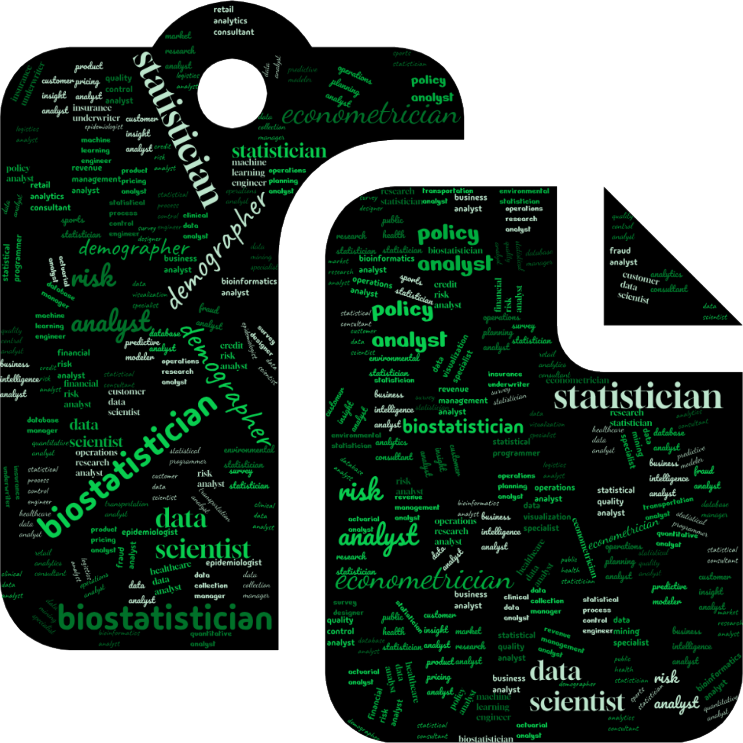 A word cloud featuring various career titles related to statistics, with prominent words including Statistician, Data Scientist, Survey Statistician, Business Intelligence Analyst, Biostatistician, Market Research Analyst, Operations Research Analyst, Risk Analyst, and Quality Control Analyst.