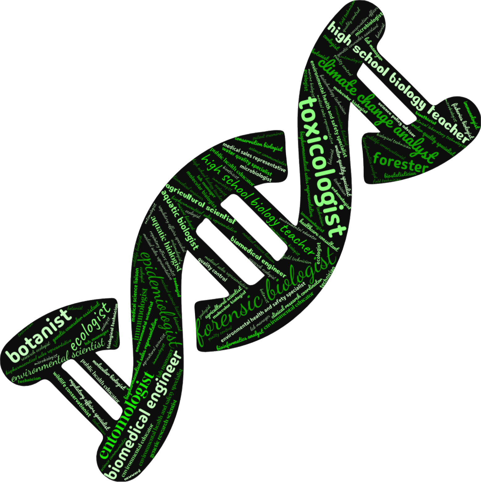 A word cloud shaped like a DNA helix. The words represent careers in biology and life sciences, including "biochemist," "wildlife biologist," "veterinary assistant," "environmental scientist," and "biomedical engineer." The text is in green and white on a black background.