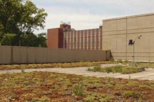 Rooftop gardens across Marshall's campus highlight sustainability