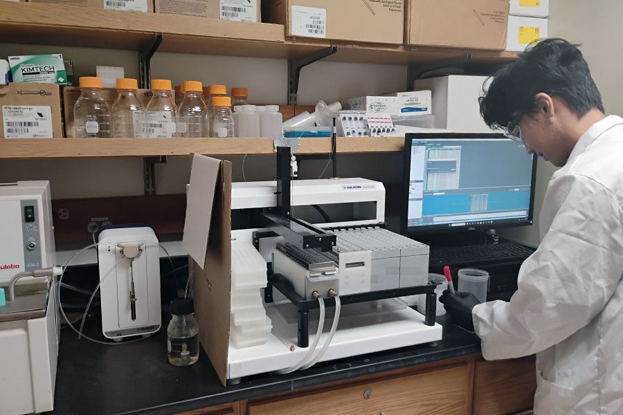 A student in Dr. Yongick Kim's research lab analyzes samples to help understand biological clocks