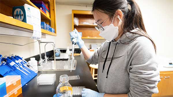 Student working in a biology research laboratory