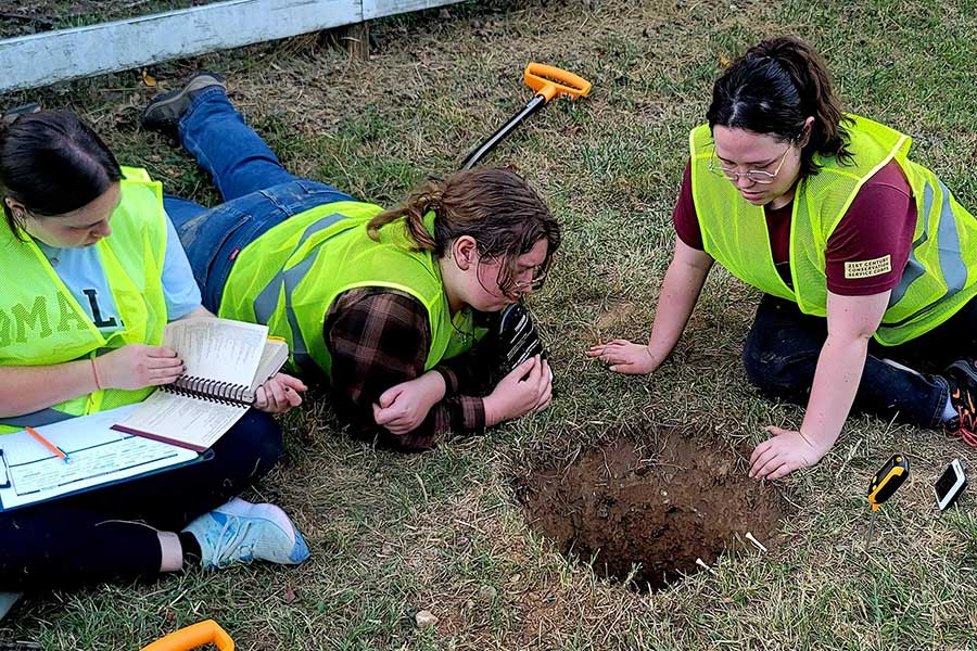 Curriculum Information