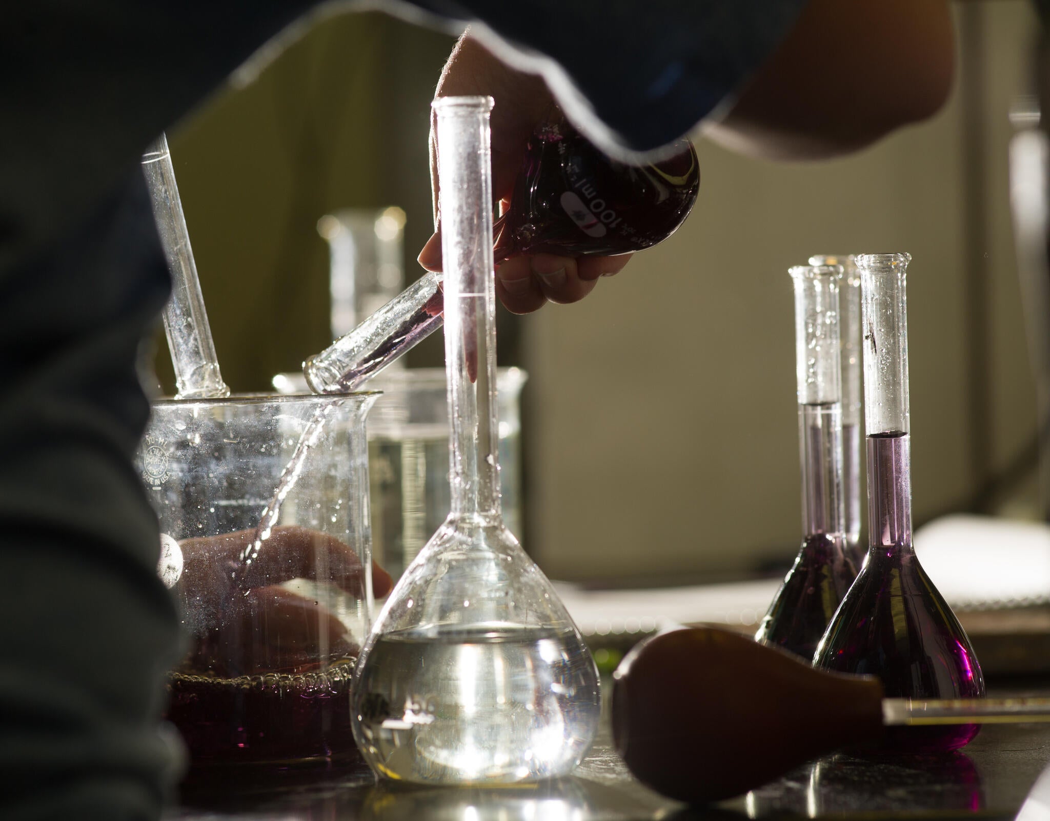 Student, Faculty, & Community Resources