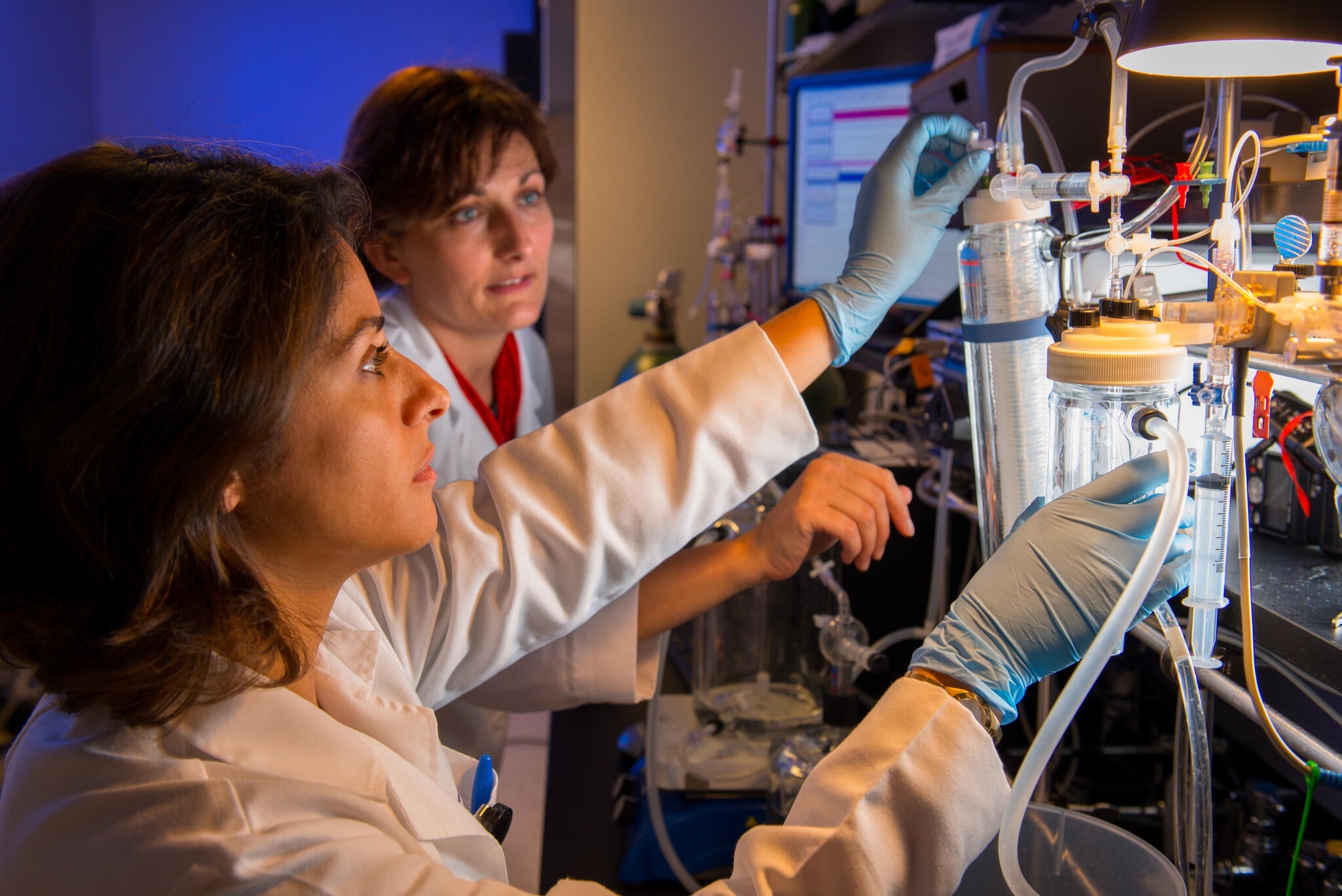 Research & Internships