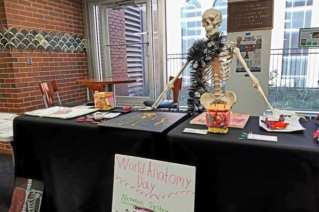 Biology students blend science and creativity through anatomy-inspired art