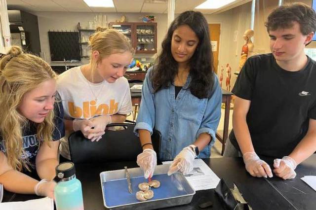 WV high school students learn at anatomical summer camp
