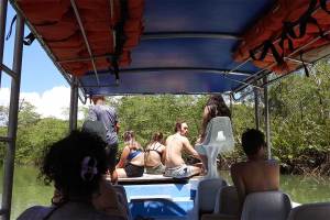 Students travel by covered boat through a narrow mangrove waterway in Costa Rica during a tropical biology field course, observing a coastal ecosystem as part of hands-on studies in ecology, biodiversity and conservation