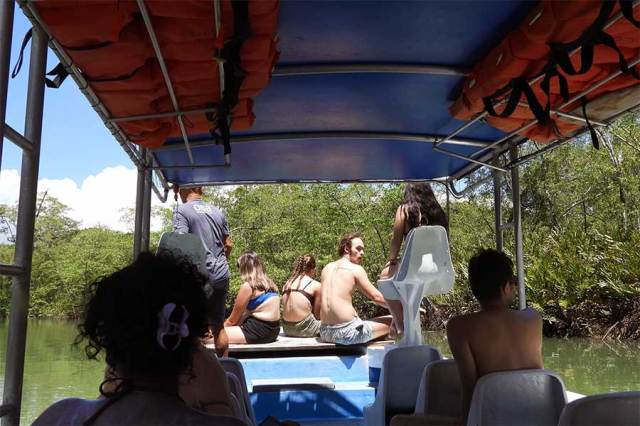 Biology students immerse themselves in Costa Rica’s living laboratory