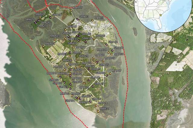 Biology faculty publish new research on coastal vegetation