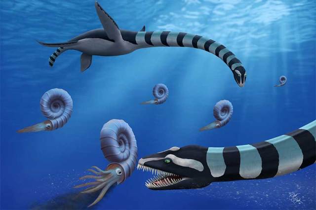 Biology researchers O’Keefe and Clark publish discovery of new plesiosaur genus