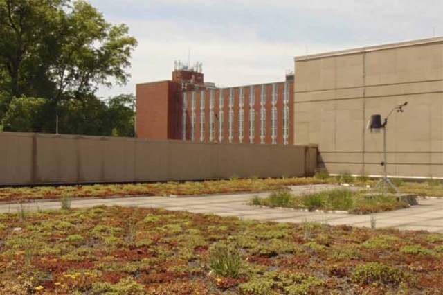 Campus gardens highlight sustainability across Marshall University
