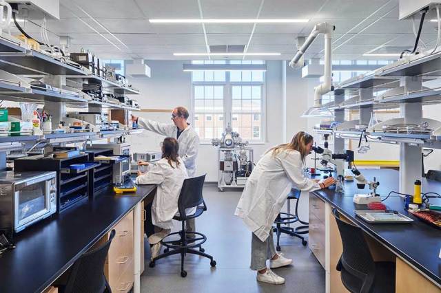 Innovation and Founders Halls at Elon University, Elon, NC, designed by the firm Ayers Saint Gross. The new labs offer clean, up-to-date equipment as well as room for students and faculty to move around.