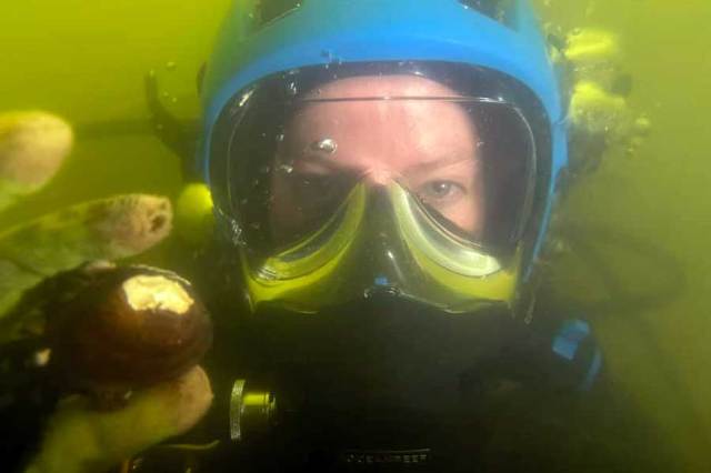 Environmental Science students dive into research