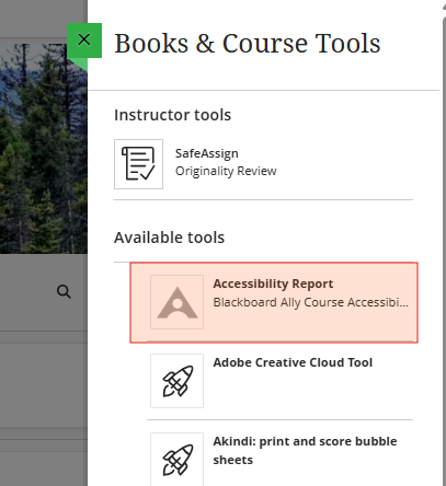 Click Accessibility Report