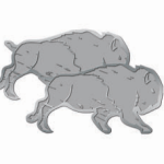 Image of the FAM pin.