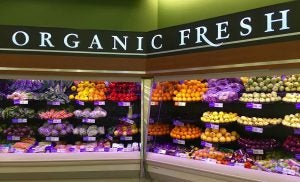 ORGANIC FOOD