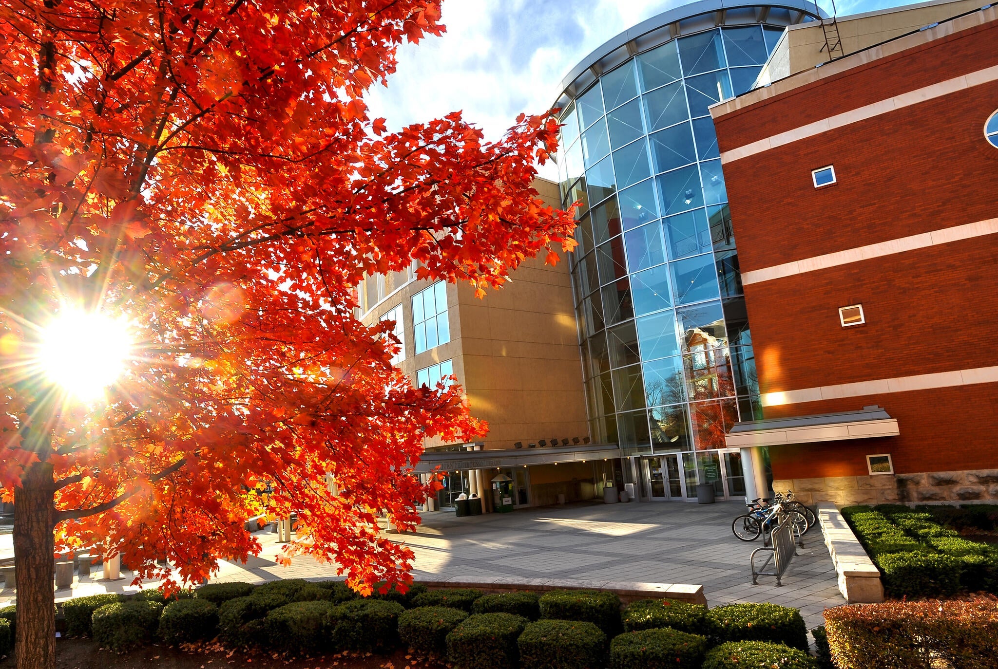 Course Listing and Descriptions