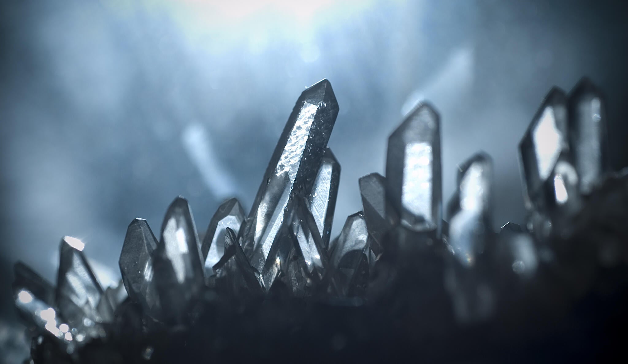 News, Awards, & Scholarships