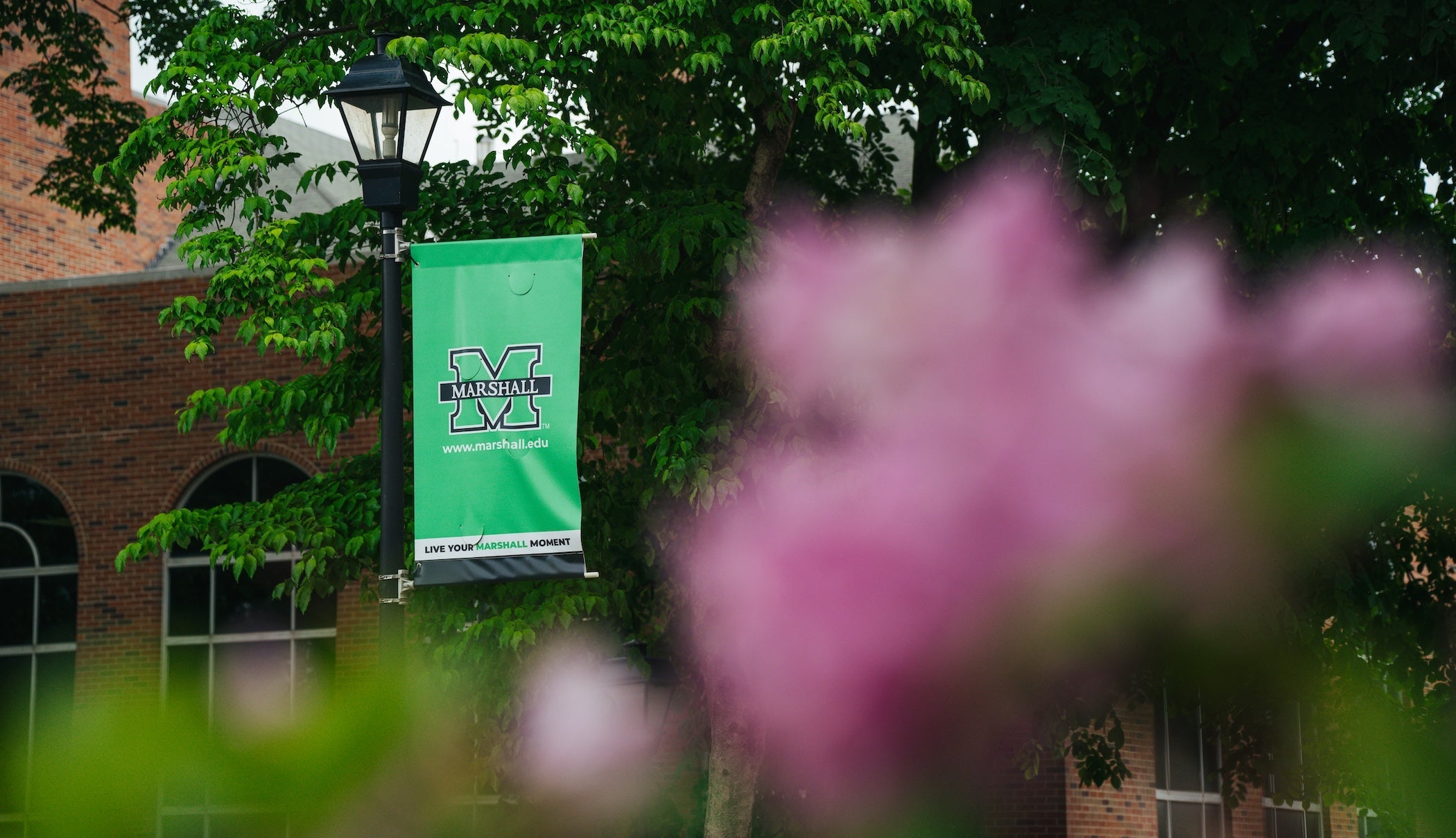 green Marshall flag on campus
