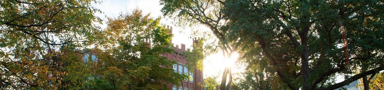 Contributing to Honors Education at Marshall