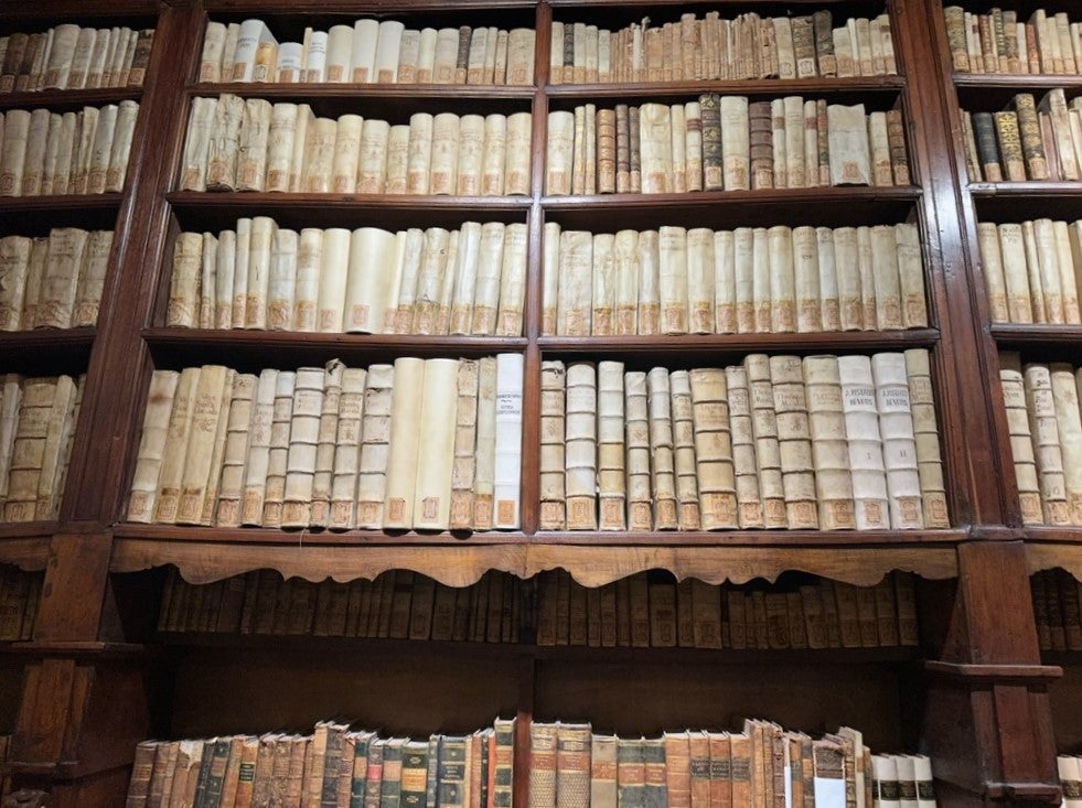 The Philosophy Program